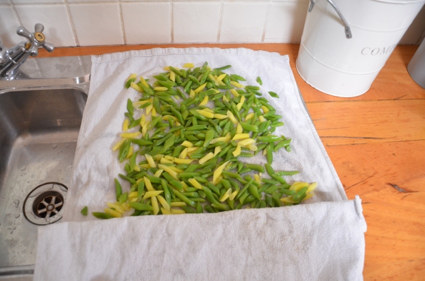 Place beans on a clean  cloth and dry